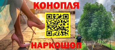 гашик Заволжье