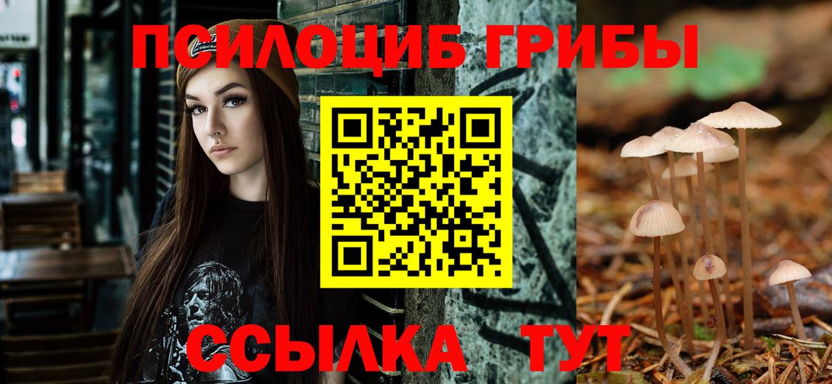 Курчатов  Псилоцибиновые грибы мицелий  Галлюциногенные грибы мицелий  Вход с VPN 